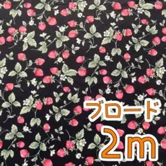 【ラス1】ブロード2ｍ　シンプルいちご柄　コットンこばやし