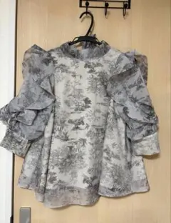 snidel オーガンシースルーブラウス ハーフスリーブ