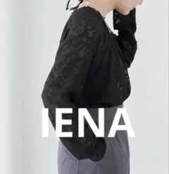 IENA シアージャガードオールインワン　イエナ　36 IENA シアージャガードオールインワン IENAのコーディネート
