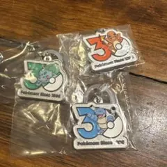 ポケモン 30周年 メタルチャームマスコット　フシギダネ　ヒトカゲ　カメックス