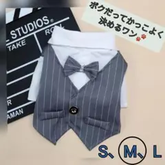【グレー　M】犬の服　リボン付きタキシード　正装　フォーマル　冠婚葬祭　結婚式