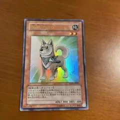 【ARS10+】高橋和希氏描き下ろし/サイン 柴戦士タロ ウルトラ ARS10+】高橋和希氏描き下ろし/サイン 柴戦士タロ ウルトラ