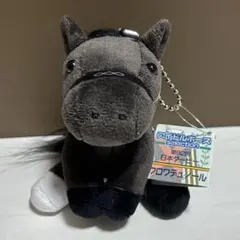 クロワデュノール　アイドルホース　日本ダービー　Sサイズ