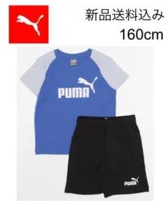 【新品送料込】定価3,960円 プーマ 上下セット シャツ&パンツ 160cm