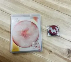 【新品未開封】 永遠深夜万博「名巧は愚なるが如し」(通常盤) Blu-ray