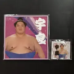 大相撲　宇良　アクリル色紙　キーホルダー