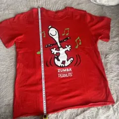 Item thumbnail for item afd25342-cf26-4bc7-99e2-a30691f9f0a9