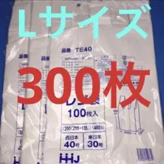 Item thumbnail for item 3eabe2fb-e098-4cf8-84c4-2e7448f49d2c