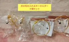 犬の毛を入れるキーホルダー　ワンコのタイムカプセル　4個セット【401】のサムネイル