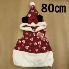 タイムセール・処分価格・新品タグ付き・ディズニー　ミニーマウス　クリスマス
