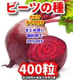 jan_kasuteira7様 リクエスト 10点 まとめ商品