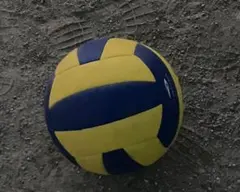 青と黄色のバレーボール