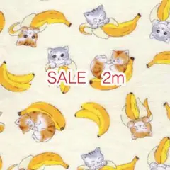 SALE 2m 猫とバナナ アイボリー オックス