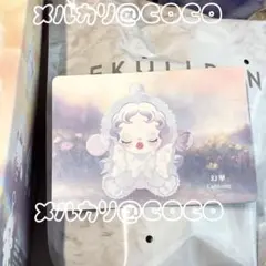 ✩正規品✩ SKULLPANDA スカルパン lightnind ぬい