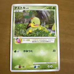 ナエトル 001/012 ポケモンカード