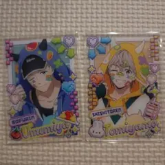 WIND BREAKER ウィンブレ でびデコパーカー アクリルカード