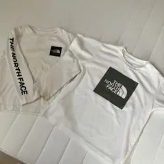 Item thumbnail for item 14ae4c6b-3f0b-407e-8f92-15943a5162d0