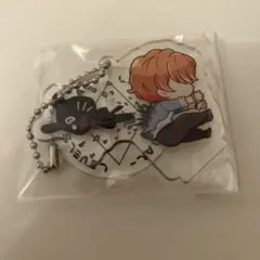 LEVEL5 アクキー アクリルキーホルダー Amazon.co.jp: level5 TOP4 アクリルキーホルダー アクリル