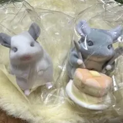マルククラウン　チンチラフロッキーマスコット パイド　パンケーキ　2種