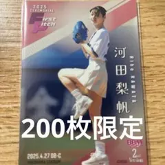 リッキー様 リクエスト 3点 まとめ商品