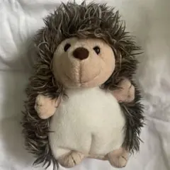 ハリネズミ ty BEANIE BABIES PRICKLES