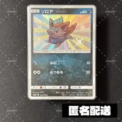【色違い】ゾロア SM8b 185/150 Sのサムネイル