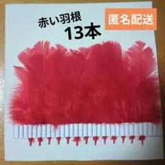赤い羽根　共同募金（13本)