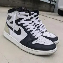 エア ジョーダン 1 レトロ HIGH OG ブリーチドコーラル 27センチ