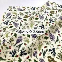 ハーブと果実のプリント綿生地50㎝