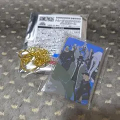 ONEPIECE トレーディングアクリルバッグチャーム CP9