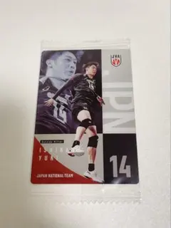 バレーボール日本代表 石川祐希 カード