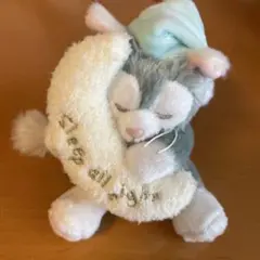 Item thumbnail for item ed1ae093-4bde-4f68-939d-8a62088bda92