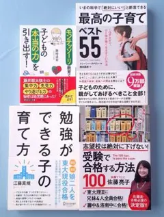 Item thumbnail for item 131d64d4-8f77-43a6-89db-670dc7f56388