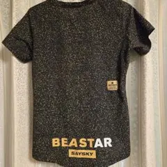 セイスカイ　シャツ