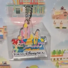 東京ディズニーシー アクリルチャーム