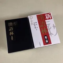 新漢語林　第二版