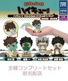 ハイキュー！！Hide＆Seek　かくれんぼフィギュア　青葉城西・梟谷学園 ◎