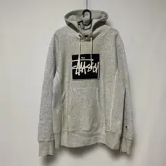 希少STUSSY×Championコラボパーカー/フーディー/リバースウィーブ