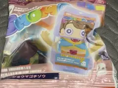 DXライダーガヴ ゴチゾウスペシャルセット はぴぱれver. ショウマ ゴチゾウ