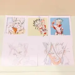 石神千空 Dr.STONE ポストカード