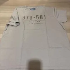 Item thumbnail for item 1369e0a5-04fd-4867-b9bb-f1d21e88b731