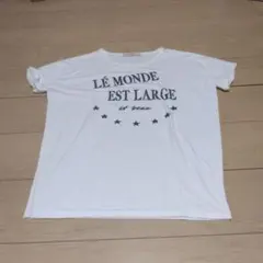 AnnaKerry 半袖 Tシャツ サイズ38のサムネイル