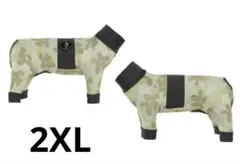 Item thumbnail for item d142d71b-5084-4610-b79b-beece791ae2c