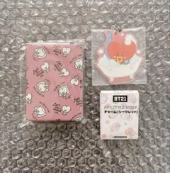BT21 TATA セット