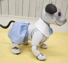 Item thumbnail for item 23dd60c9-7a1e-4bda-9b50-d9b483e8e1d4