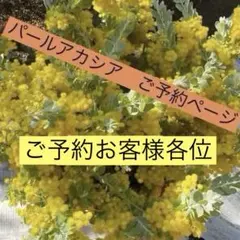 パールアカシアフレッシュご予約ページ