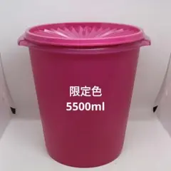 タッパーウェア マキシデコレーター 容量大 モスグリーン Tupperware