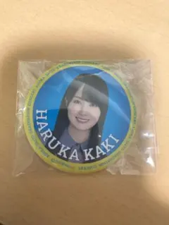 乃木坂46 賀喜遥香 齋藤飛鳥卒業コンサート 缶バッジのサムネイル