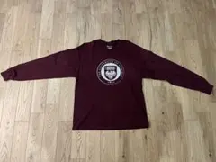 【Champion】アメリカ 古着 Tシャツ Lのサムネイル