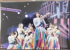 日向坂46 ツアー 2025 お願いバッハ！ CD購入特典 ポストカード